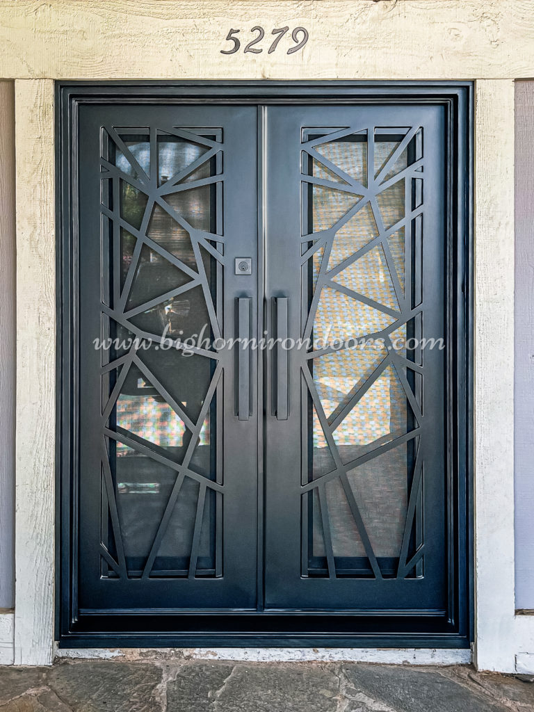French steel doors 